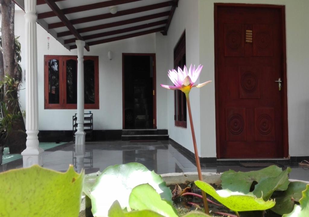 House Of Seya Panzió Negombo Kültér fotó